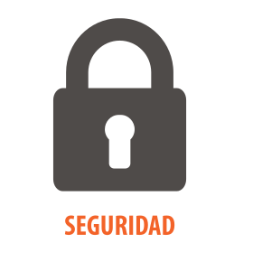 seguridad